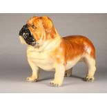 Lifesize hand painted ceramic figure of a Bulldog, circa 1920's standing alert (minor repair and