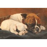 Unsigned Framed oil on canvas 'Bull Terrier and Pup' 23cm X 31cm