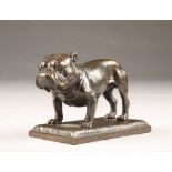 Charles Curry (20th century) signed bronze figure of a bulldog, circa 1920, height 10cm, length
