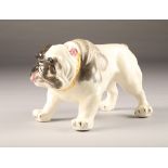 Ceramic Crown Devon figure of a standing bulldog, hand painted, circa 1930, height 19cm