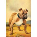 J White (British 19th/20th Century) Framed oil on canvas, signed and dated 1908 'Bulldog in a