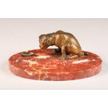 French bronze bulldog pen tray, circa 1910, bronze Bulldog sitting looking at a ladies shoe