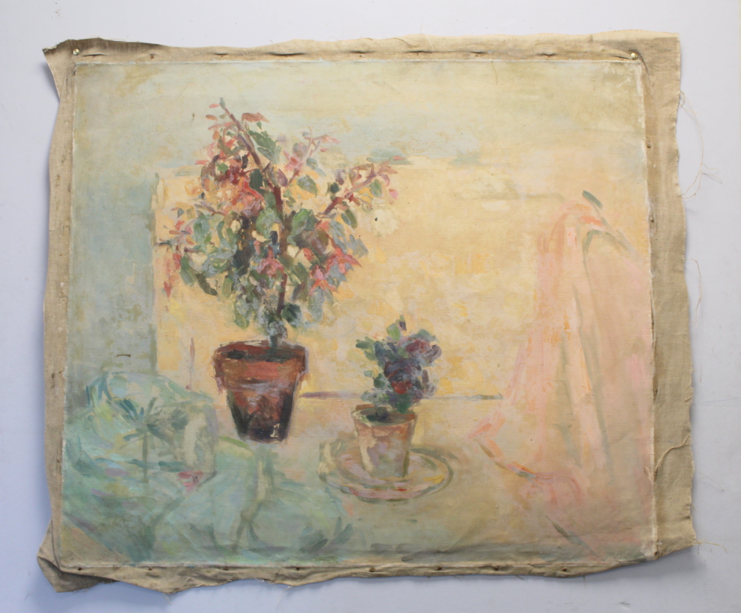 Stella Steyn (Irish 1907-1987) Still life of potted fuchsia and geranium Oil on canvas,