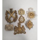 Collection of cap badges and helmet plates with examples to include a Victorian Coldstream Guards