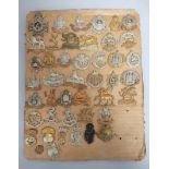 British Militaria Interest. Tray containing a large quantity of cap badges to include Sherwood