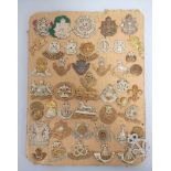 British Militaria Interest. Tray containing a large quantity of cap badges to include seven Border