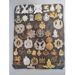 Militaria Interest. Tray containing a large quantity of cap badges and helmet plates with