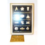 Franklin Mint 12 cased Star Trek insignia badges constructed from 24ct gold plate on sterling