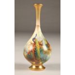 Royal Worcester Vase, bottle shaped, circular foot, decorated with hand painted peacocks in woodland