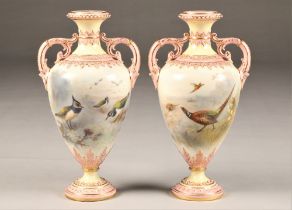 Pair Royal China Works Worcester vases, double handles and raised on circular feet, decorated in