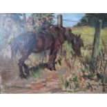 JOHN MURRAY THOMSON RSA RSW PPSSA (Scottish, 1885-1974) *ARR* Horse at fence Oil on canvas, signed