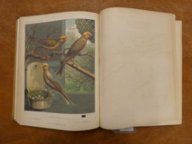 BLAKSTON, SWAYSLAND & WIENER.  The Illustrated Book of Canaries & Cage-Birds, British & Foreign.