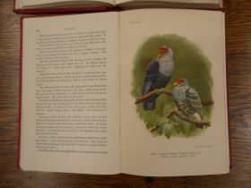 AVICULTURAL SOCIETY.  Aviculture. 3 vols., vol. 1 1936, vols. 2 & 3, 1931. Col. plates & other