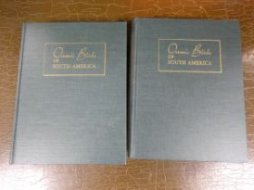 MURPHY ROBERT C.  Oceanic Birds of South America. 2 vols. Col. plates by Francis Jaques, photo
