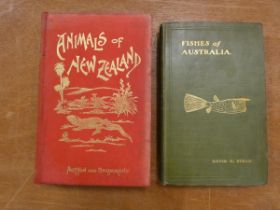 STEAD DAVID G.  Fishes Of Australia. Frontis, plates & illus. Orig. green cloth gilt, rather soiled.