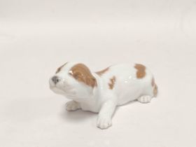 Royal Copenhagen figure of a recumbent dog, shape and model numbers 1453, 1204 to underside, 7cm