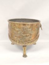 19th century brass jardiniere with repousee fruit decoration, lion mask handles and raised on claw