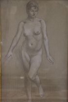 20TH CENTURY SCHOOL Full length portrait of a nude female Pencil drawing with chalk highlights,