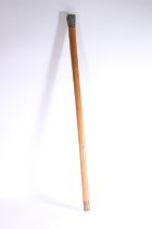 Chinese Malacca walking stick cane with silver handle having four vignettes including Dragon, Prunus