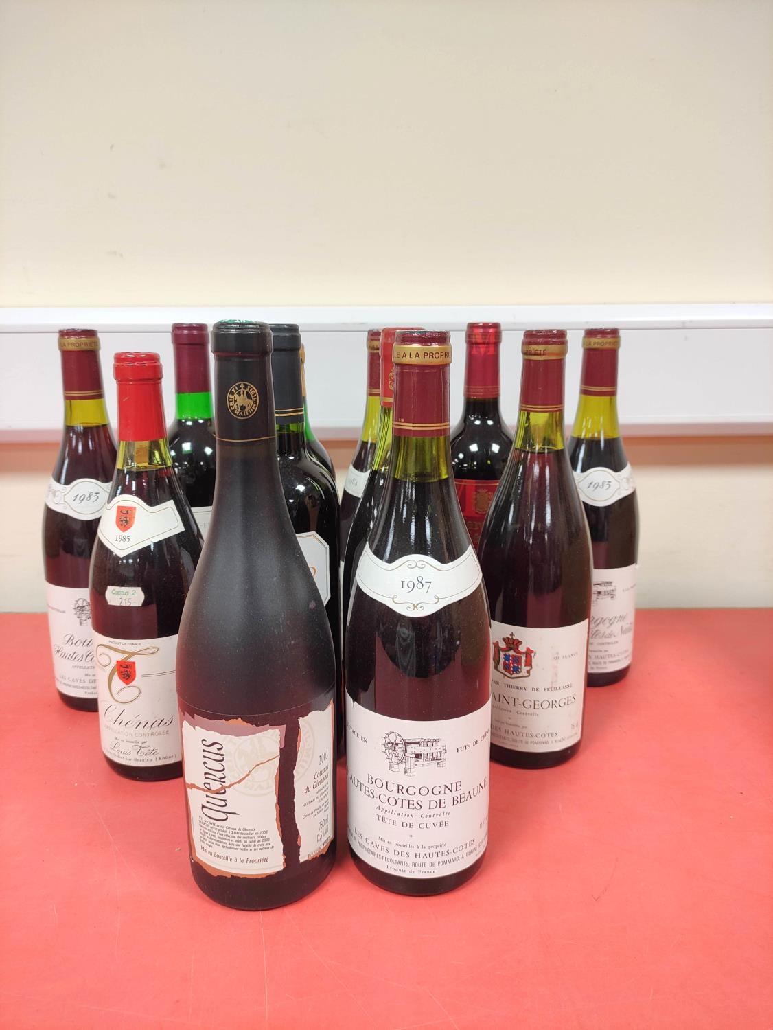 Twelve bottles of assorted red wine, Mainly French to include two bottles of Bourgogne Hautes