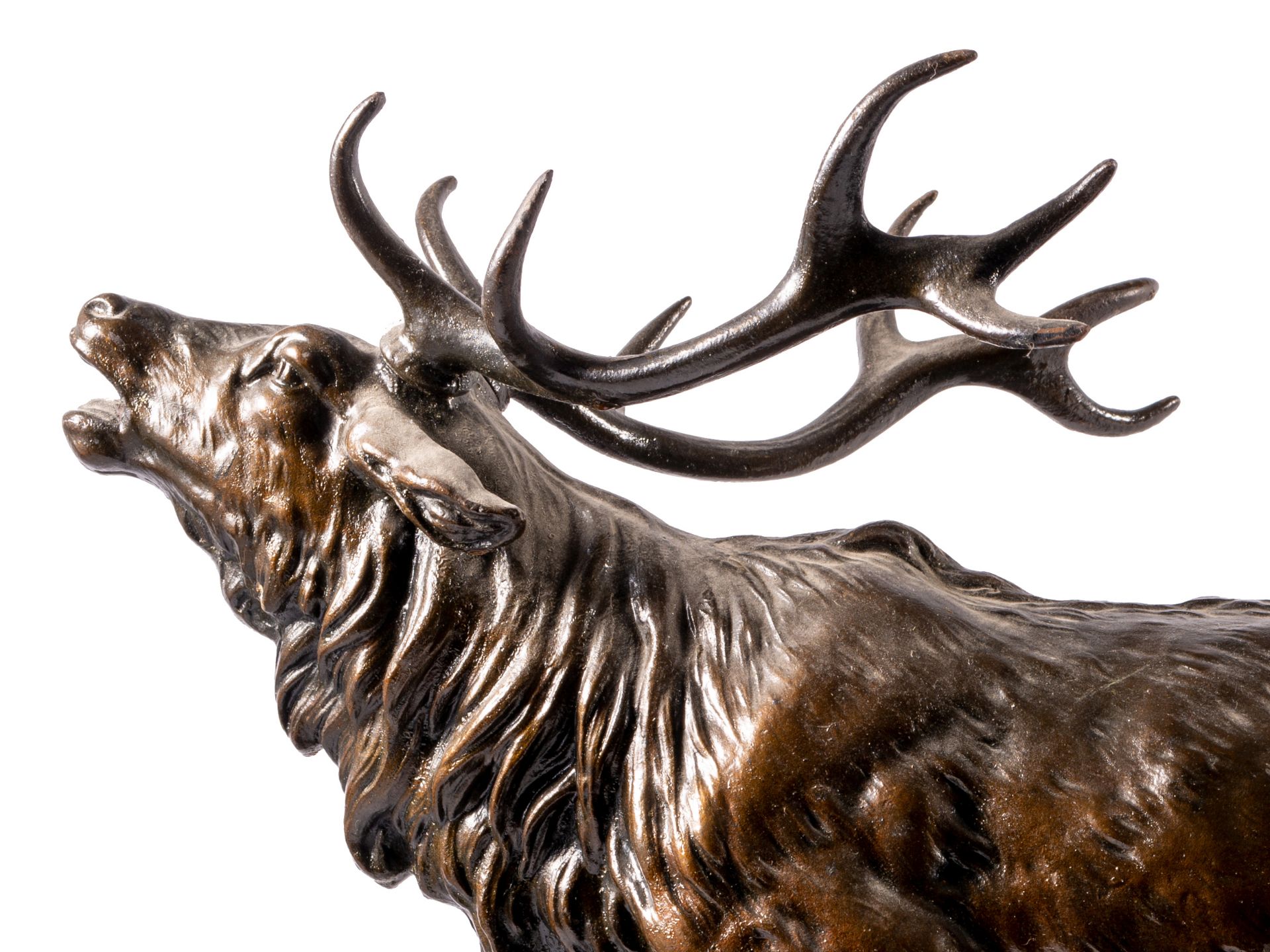 Roaring deer, Around 1900, Cast bronze - Image 13 of 14