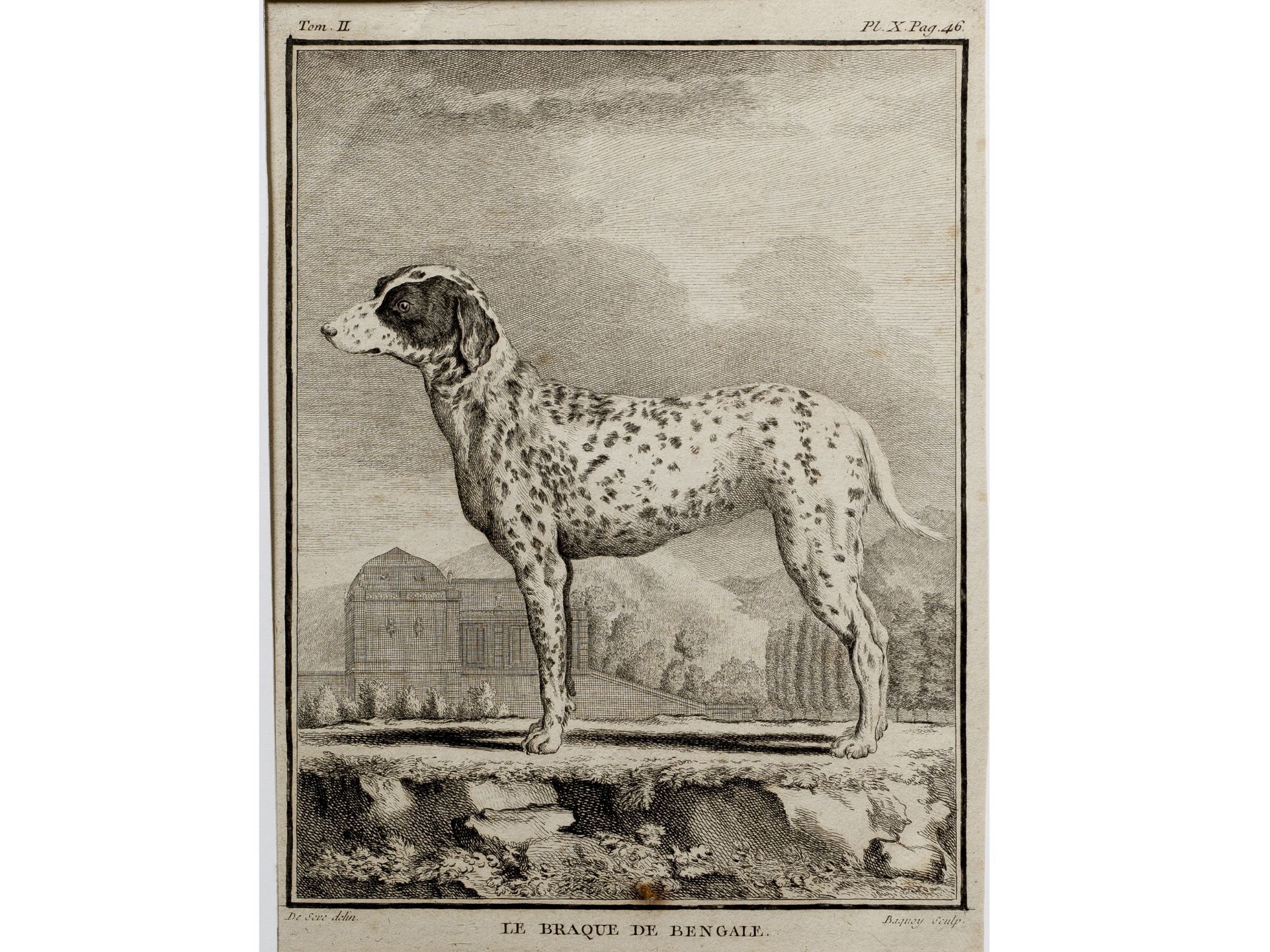 Jean Charles Baquoy, Frankreich, 1721 – 1777, Nach Jacques de Sève