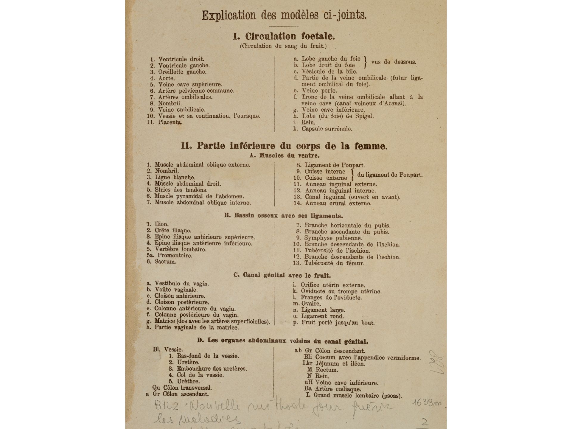 „I. Circulation foetal. II. Partie inférieure du corps de la femme“ - Bild 3 aus 3