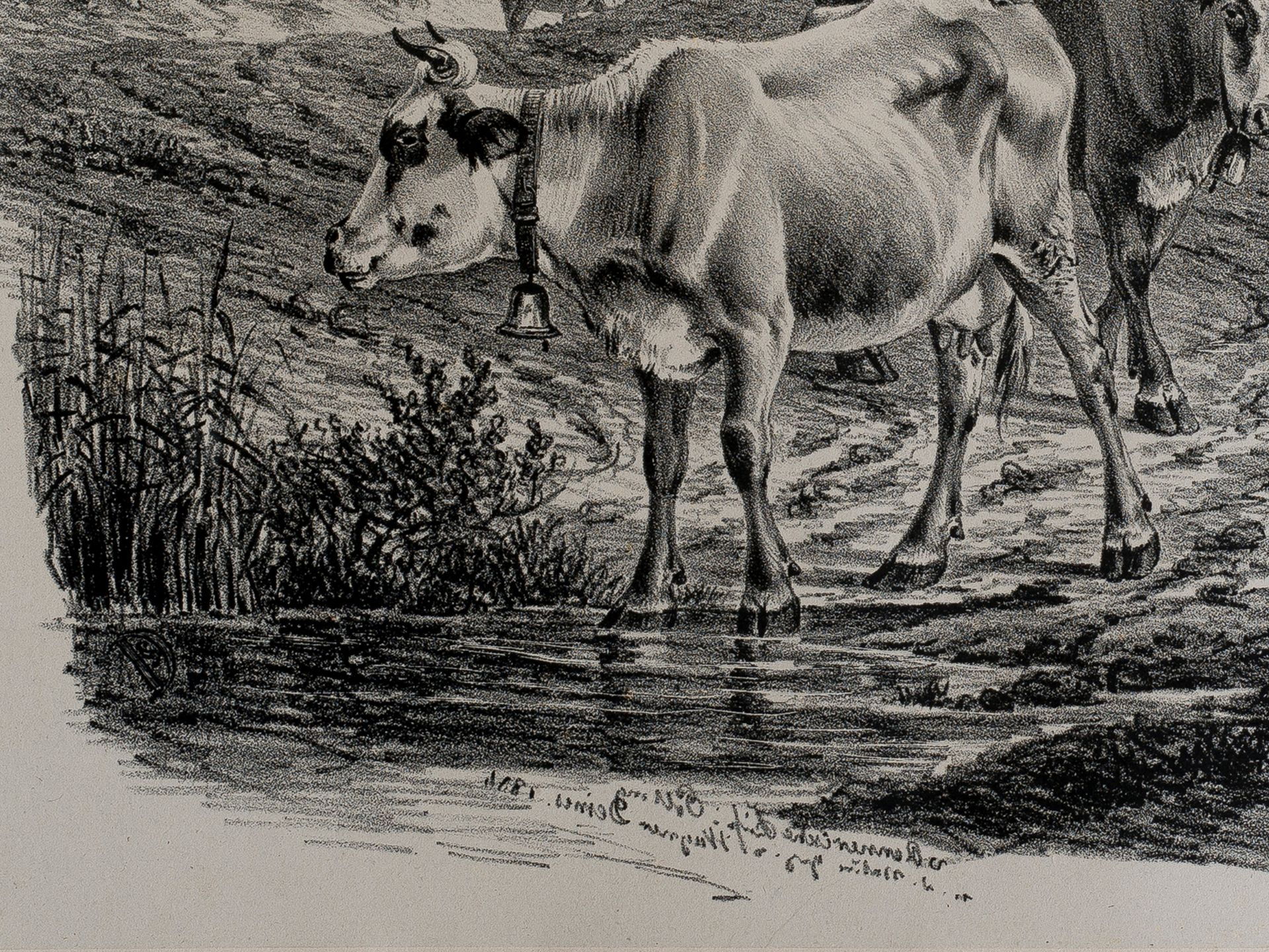 "Herd of cows", Munich, 1864? - Image 2 of 3