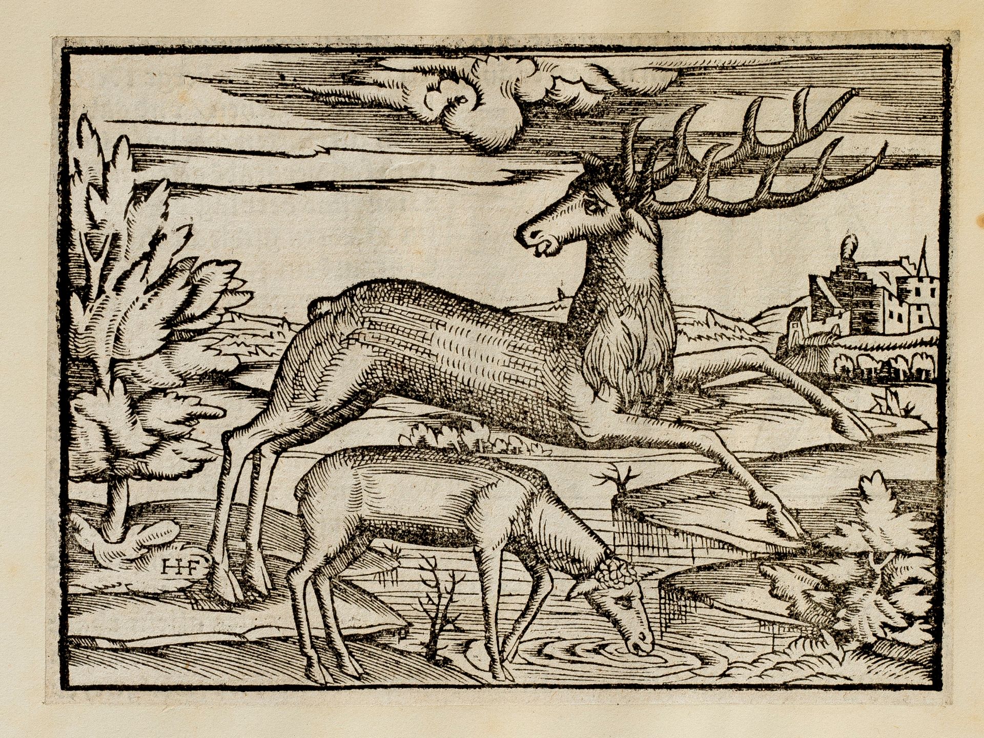 Monogramist H.F., Follower, "Stag and Stag Calf" & "Bucephalus". - Image 3 of 5