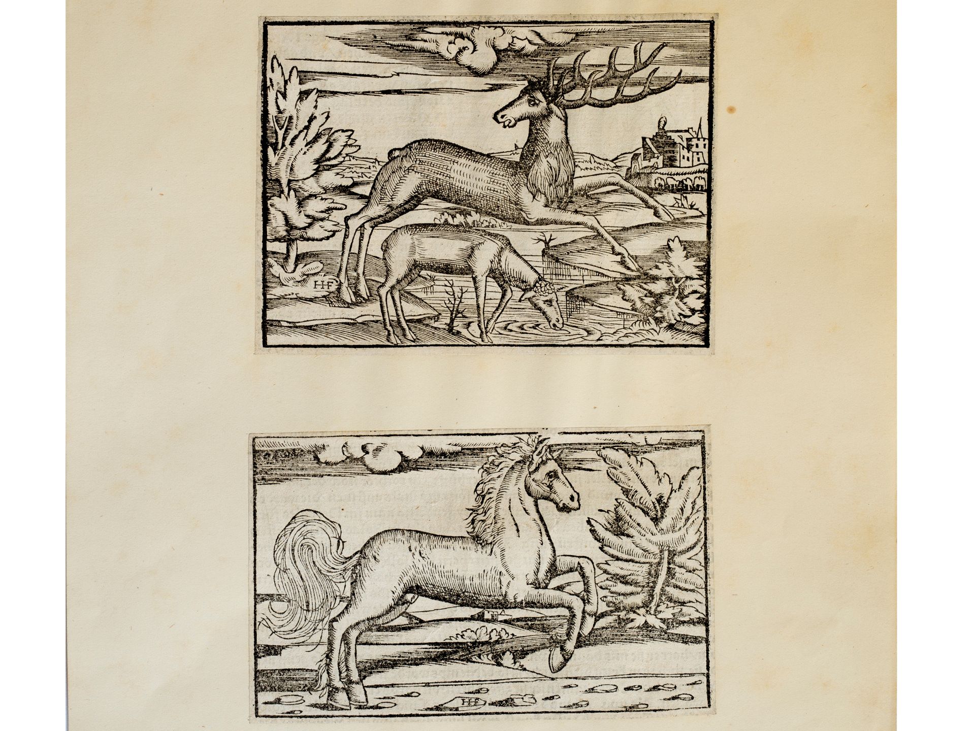 Monogramist H.F., Follower, "Stag and Stag Calf" & "Bucephalus".