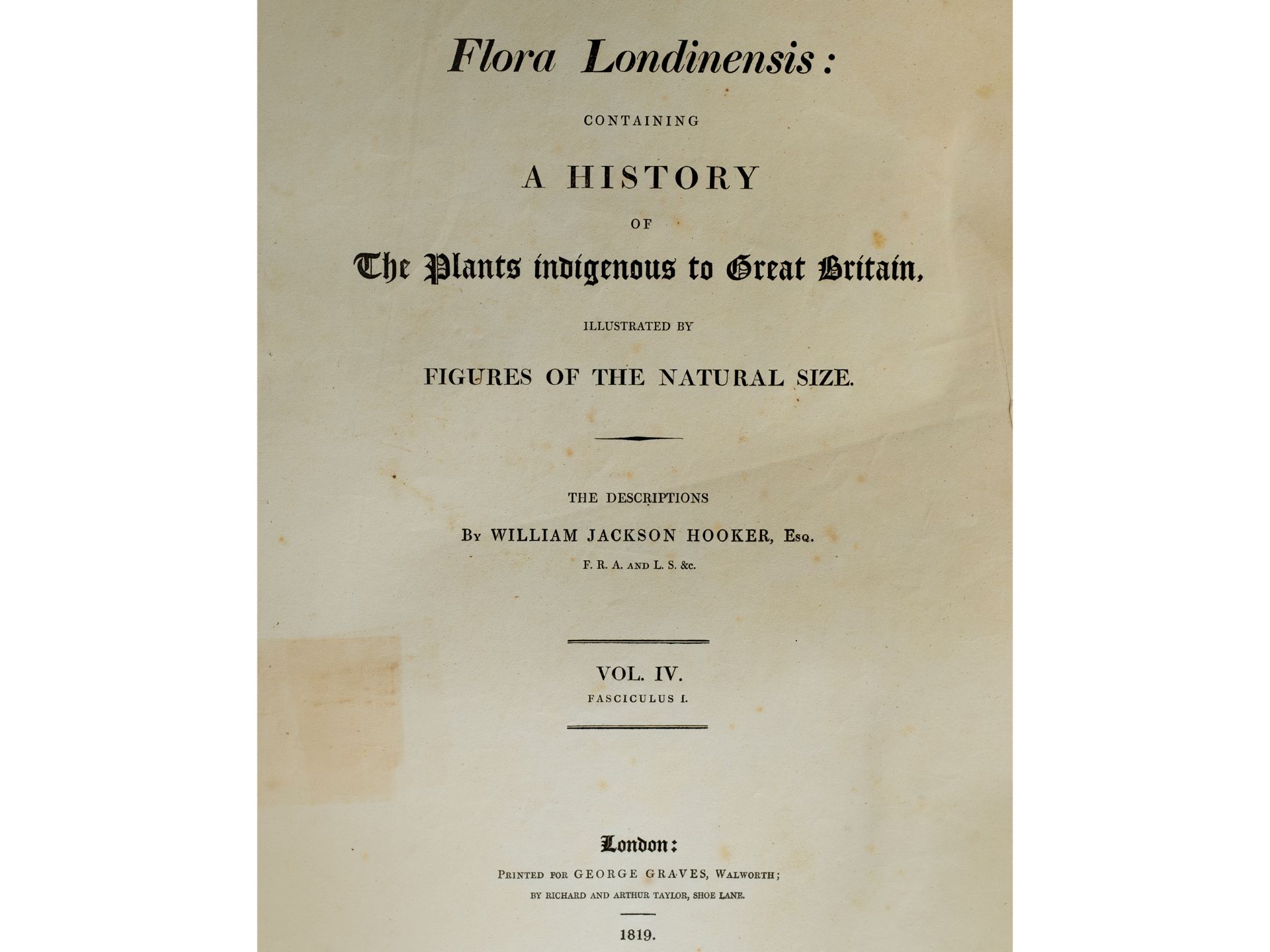 „Titelblatt“, Aus „Flora Londinensis“, London