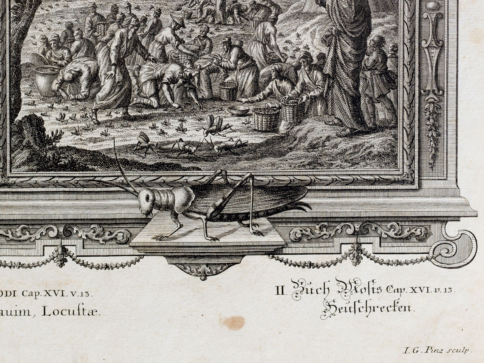 Johann Melchior Füssli, Zürich 1677 – 1736 Zürich, Johann Georg Pintz - Bild 3 aus 3