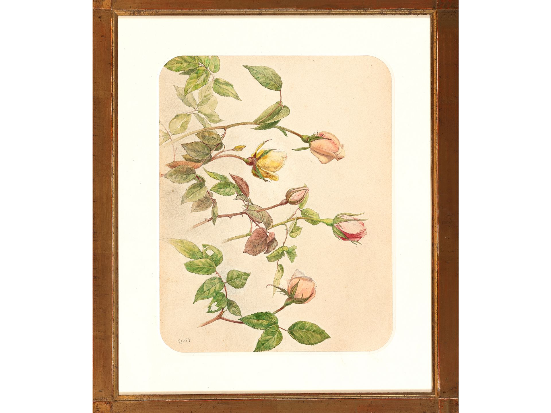 Josef Schuster, Grätz near Troppau 1812 - 1890 Vienna, Study sheet with roses - Image 2 of 4