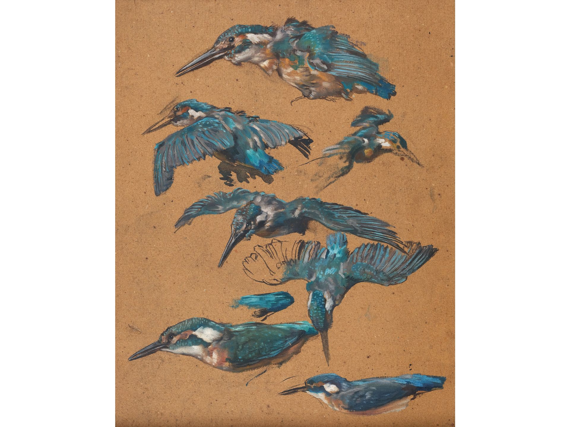 Alexander Pock, Znojmo 1871 - Vienna 1950, Kingfisher studies