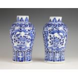 A pair of Chinese porcelain blue and white vases, 19th century, each of high shouldered form and