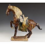 A Chinese sancai glazed pottery model of a Fereghan horse, possibly Tang Dynasty, modelled with a