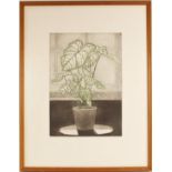 Tessa Beaver (Britsh, 1932-2002), "Interior With White Leaved Plant", Limited edition print on