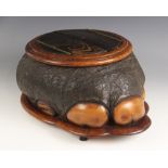 TAXIDEMY; an elephant foot hinged box, late 19th/early 20th century, the bi-fold rosewood cover