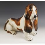 An Italian pottery Bassett Hound of large proportions, probably mid 20th century, realistically