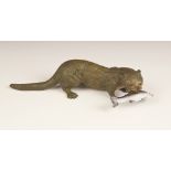 A cold painted bronze model of an otter, designed with a fish in its mouth, 17.5cm long