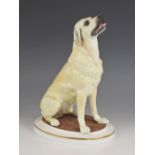 A limited edition Royal Worcester Yellow Labrador by Kenneth Potts, modelled seated, numbered 43