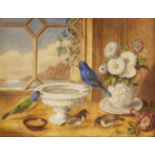 English school (19th century), 'Prize Pair Of Foreign Birds', Watercolour on paper, Unsigned, titled