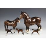 A selection of brown Beswick horses comprising: a 'Shire Mare', model number 818, designed by Arthur