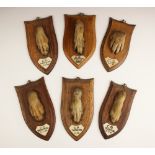 TAXIDERMY: A shield-mounted otter's paw hunting trophy, early 20th century, with applied ivorine