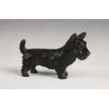 An Austrian style cold painted bronze model of a Scottie dog, modelled standing, applied glass
