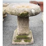 A reconstituted stone bird bath, the shallow circular well upon a square section column and