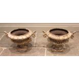 A pair of 19th century cast iron garden/patio urns, of compressed campana form, the leaf cast rims