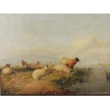 Thomas Sidney Cooper RA (British, 1803-1902), Sheep on a riverbank with windmill beyond, Oil on