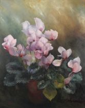 English school (20th century), Still life with cyclamen, Oil on canvas, Indistinctly signed lower