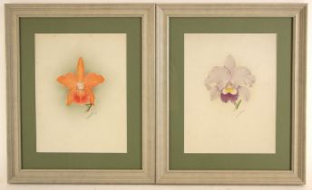 Minnie Walters Anson (British, 1875-1959), Study of an orchid flower, Watercolour on card, Signed